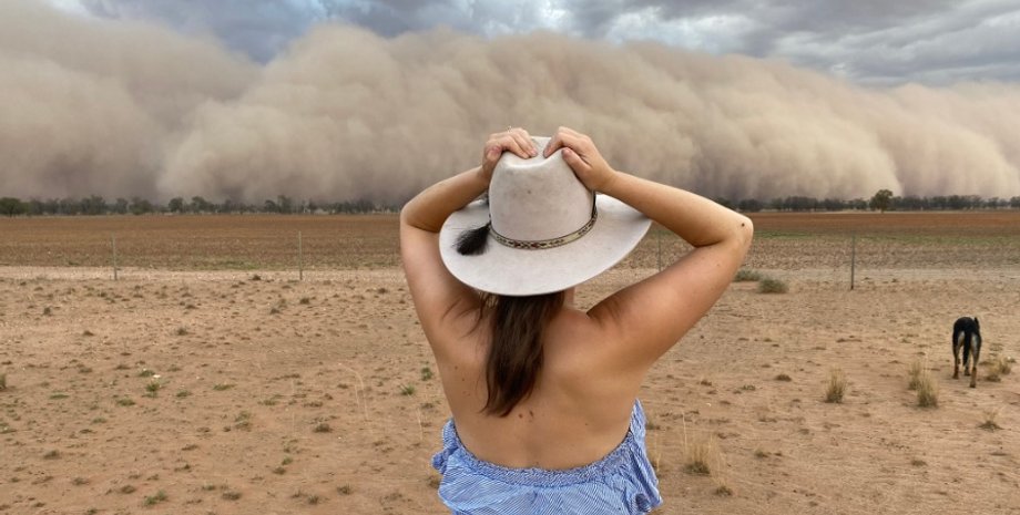 Фото: Twitter/@jen_browning