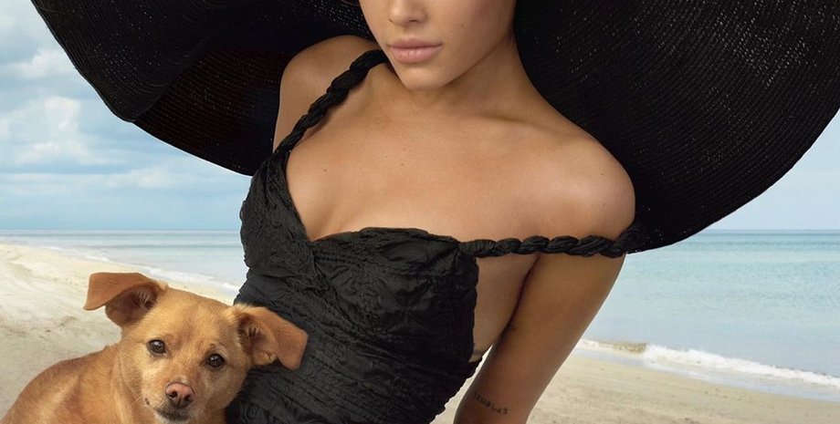 Фото: Telegram-канал Golden Chihuahua