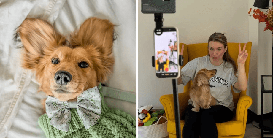 монетизація домашніх тварин