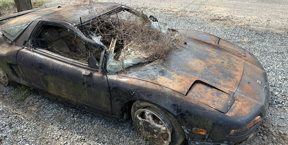 Acura NSX, Honda NSX, суперкар Honda, авто потопельник, японський суперкар