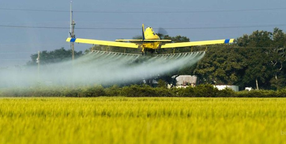 Фото: bessarabiainform.com