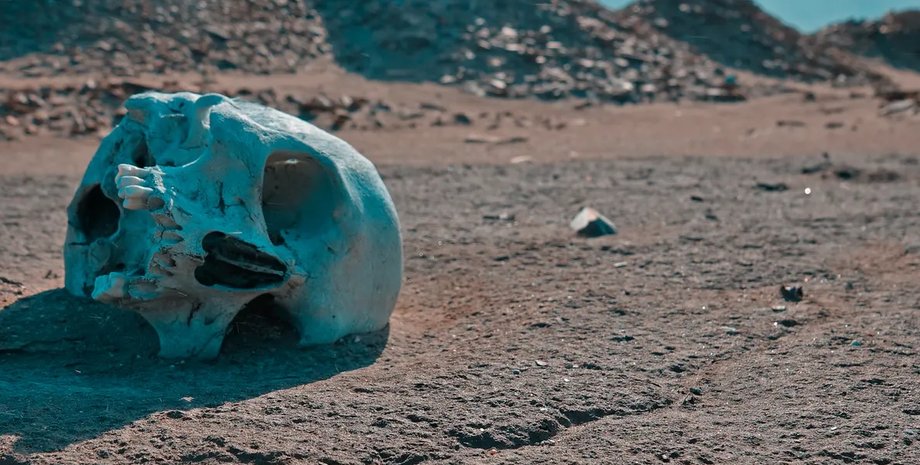 человечество, смерть человечества, вымирание людей