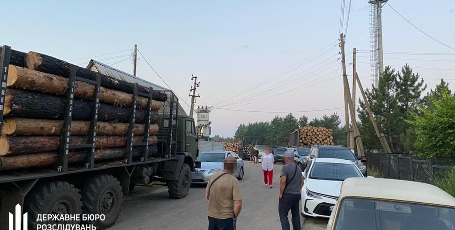 ГБР, спецоперация ГБР, обыски ГБР, древесина, продажа древесины