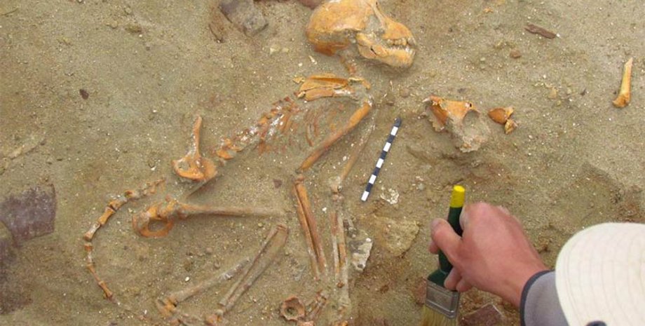 останки, макака, рука человека, фото