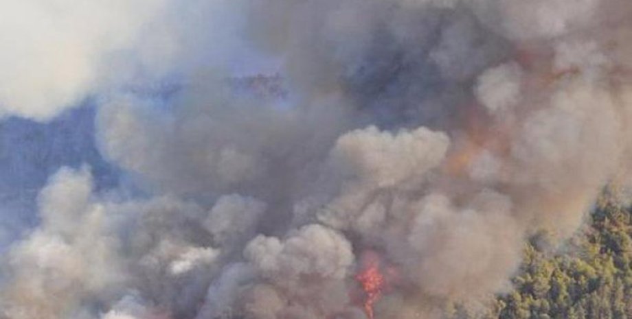 Фото с сайта Подробности