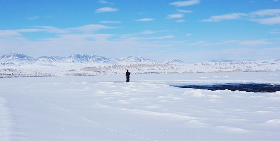 арктика, снег в арктике, загрязнители в арктике