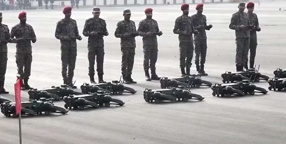 Stado pracy i niesamowite zaskoczyło publiczność podczas parady wojskowej w Indi...