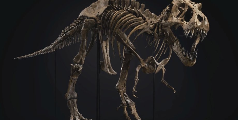 Фото: Christie's