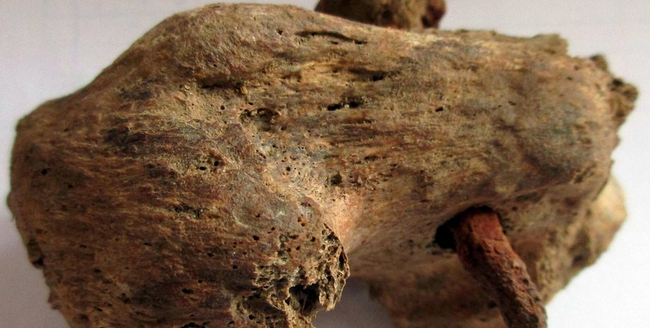 гвоздь, кость, пятка, фото