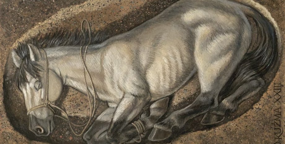 конь, исследования, христианство, язычество, ритуал, язычники, христиане, община, зубы, захоронения, жертвоприношения, викинги, археологи, археология, исследования