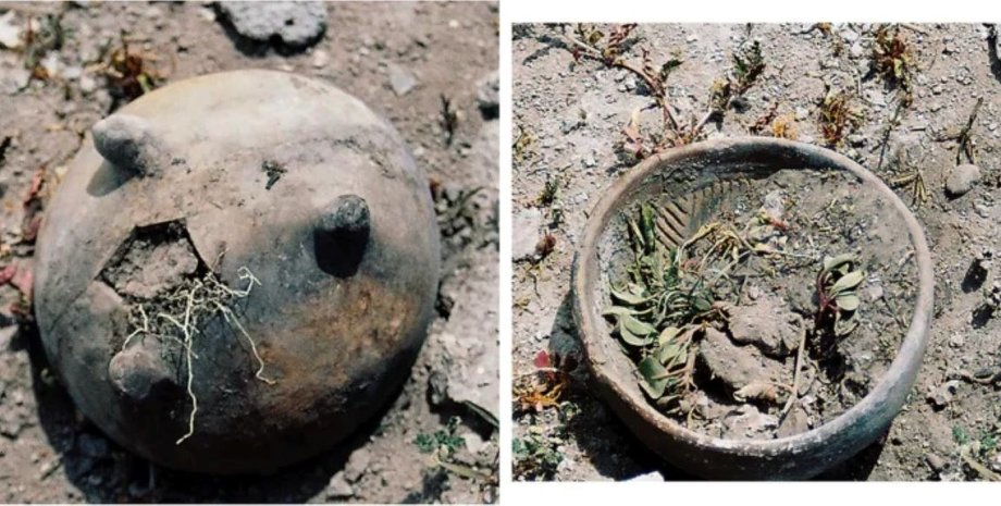 древние фермеры использовали курган как солнечный календарь