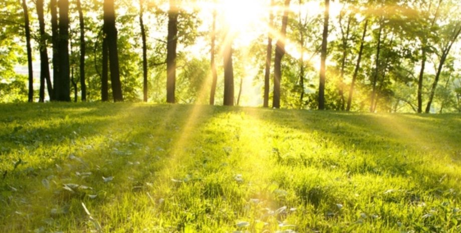 Літня погода В України очікується ясна та тепла погода без опадів