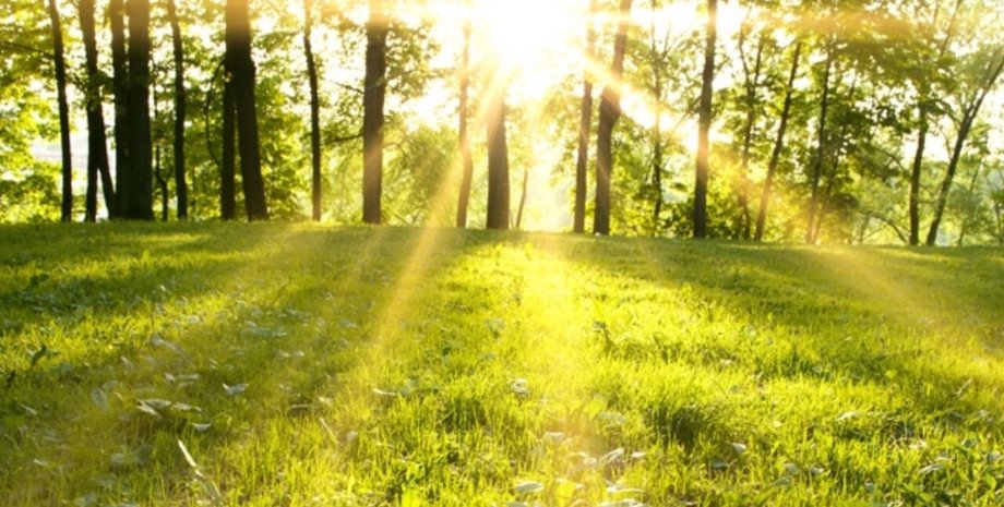 Самую высокую температуру зафиксируют на Закарпатье и в Крыму