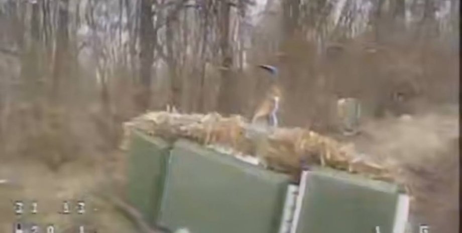 Гроза ЮБ, РЭБ, ВС РФ, радиоэлектронная борьба, фото