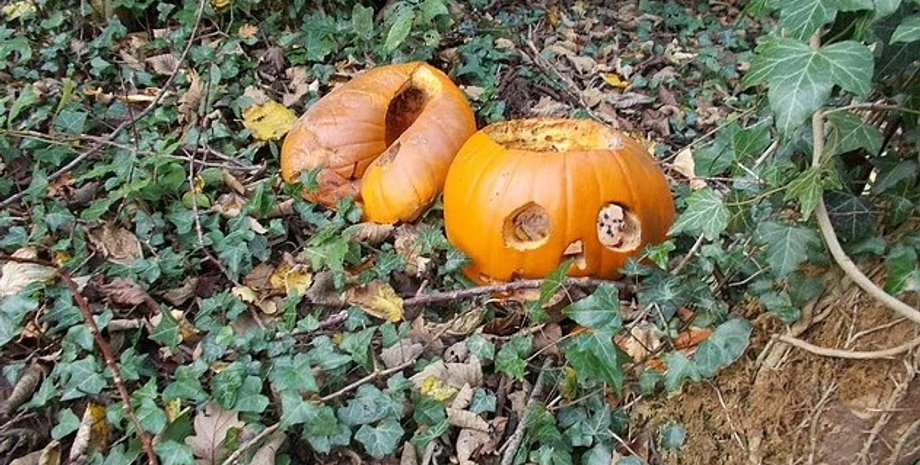 тыква хэллоуин, тыква фонарь