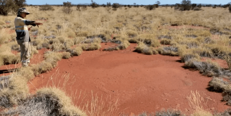 Пустыня, пустыня в Австралии, круги, "круги фей", ученые, исследователи