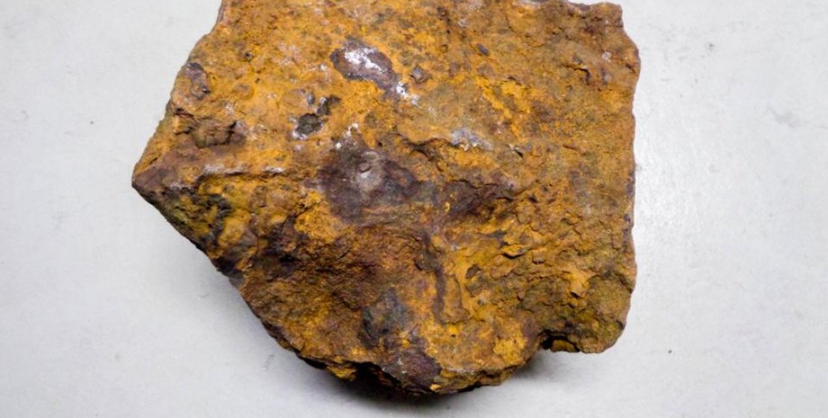 Фото: GABRIELE HEINLEIN