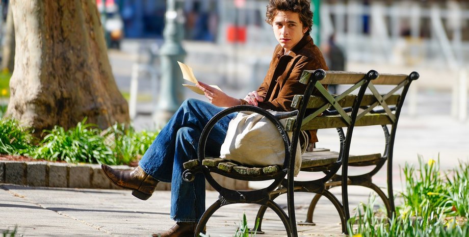 тимоти шаламе, боб дилан