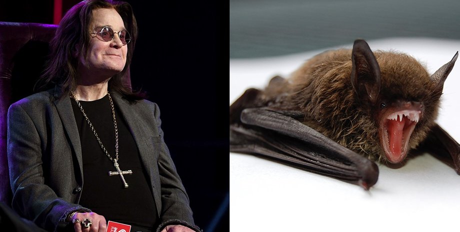 летучая мышь, оззи осборн