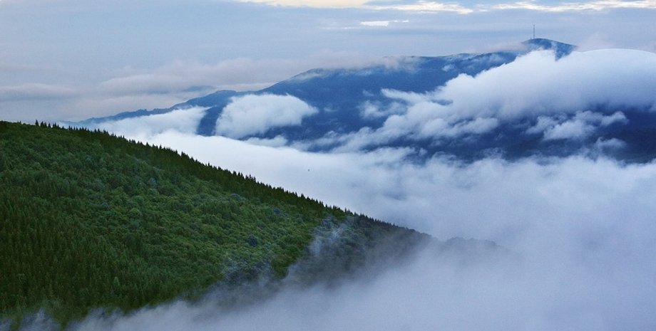 Карпаты / Фото: Bookvachka.org.ua