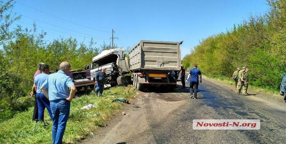 Фото: Новости-N