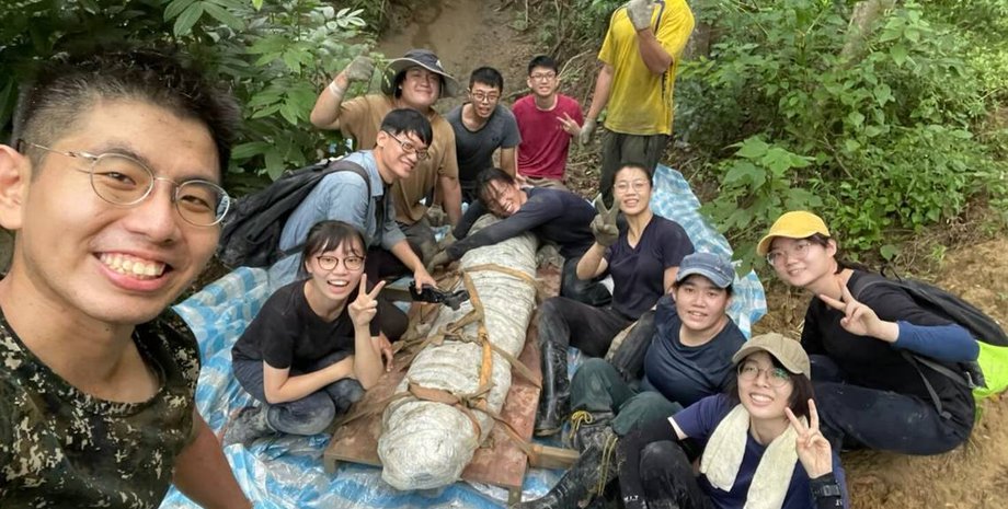 раскопки, кит, тайвань