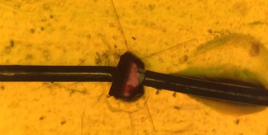 Кристалл пьезоэлектрического материала под микроскопом