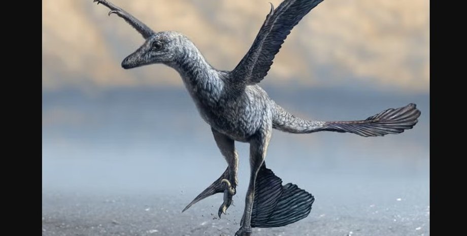 динозавр, следы динозавра, динозавр полет