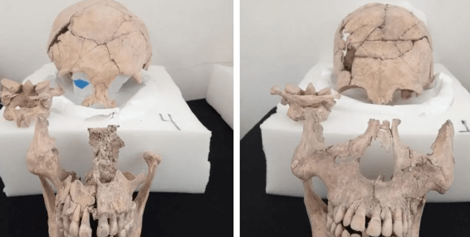 Руины майя, археологическое открытие, ритуальное обезглавливание, пирамидальная структура, антропологическое исследование, божество майя, подземные жертвоприношения, освящение храма, цивилизация майя