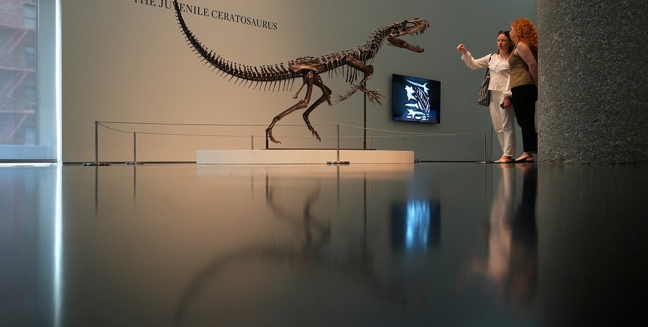 скелет цератозавра, Sotheby’s