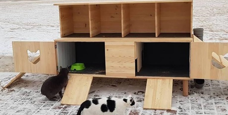 Фото: facebook.com/den.fedenko