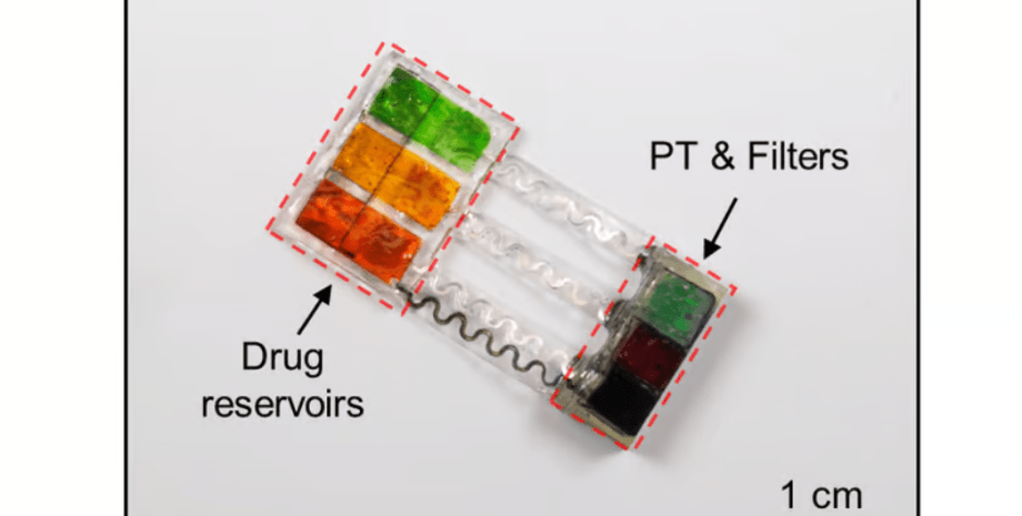 имплант с лекарством имплант, лекарство, биоразлагаемое