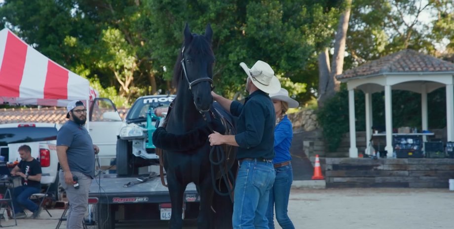 Лошадь, Эксперимент, Лошадиная сила, Мощностью, Исследование, Эксперты, Авто, Автомобили, Видео