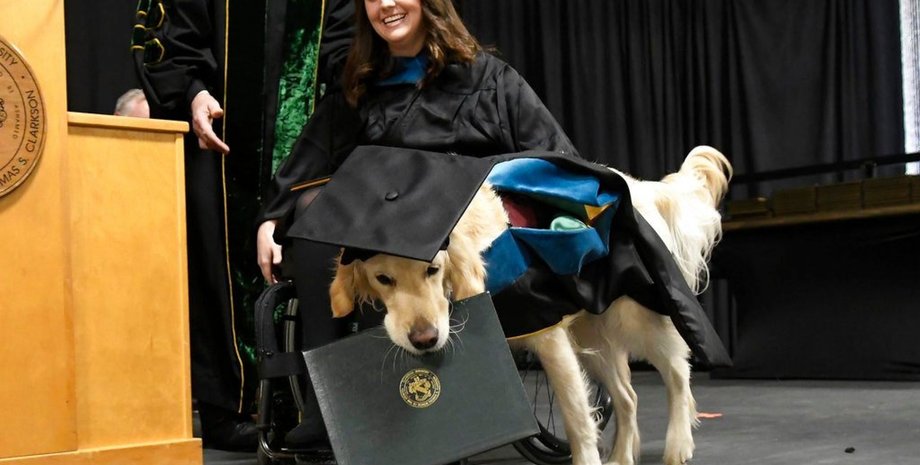 Фото: с сайта foxnews