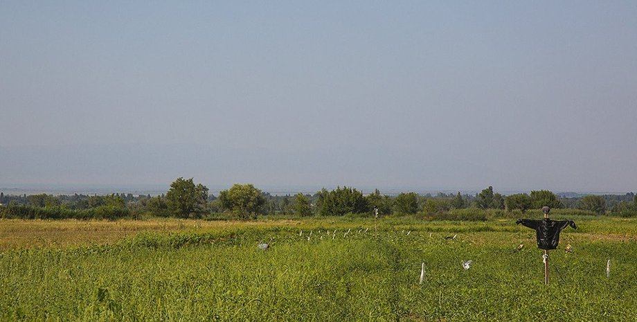 земля, казахстан, иностранцы, запрет, токаев, фото