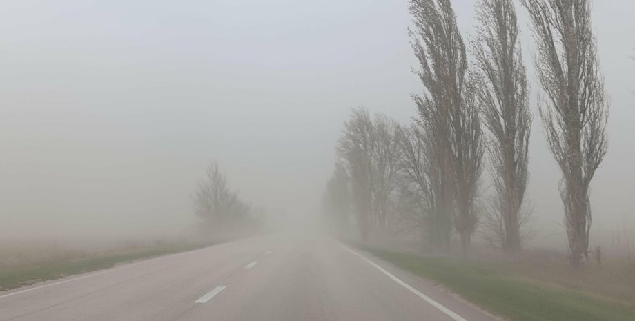 дорога, деревья, пыльная буря