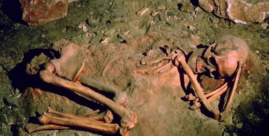 скелет, древний человек