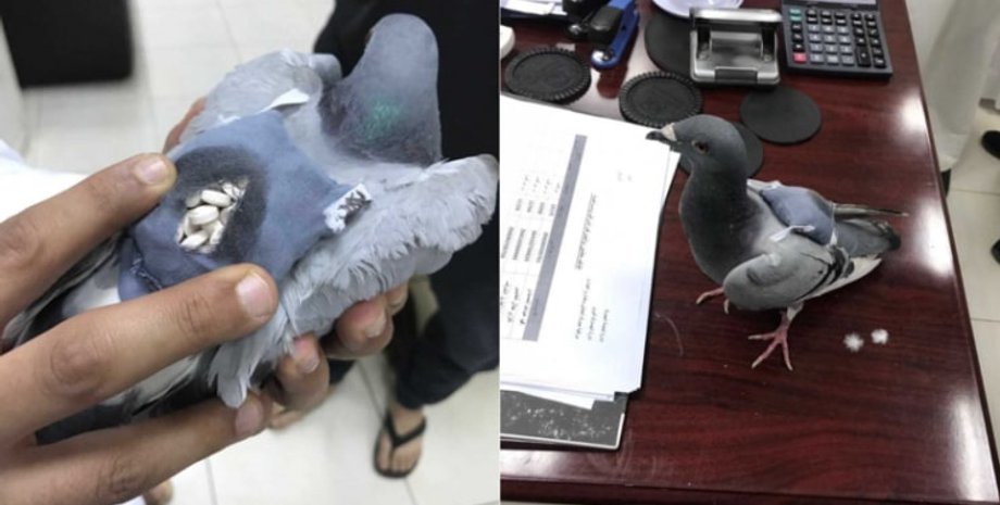 Фото: alarabiya.net