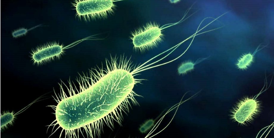 Иллюстративное фото