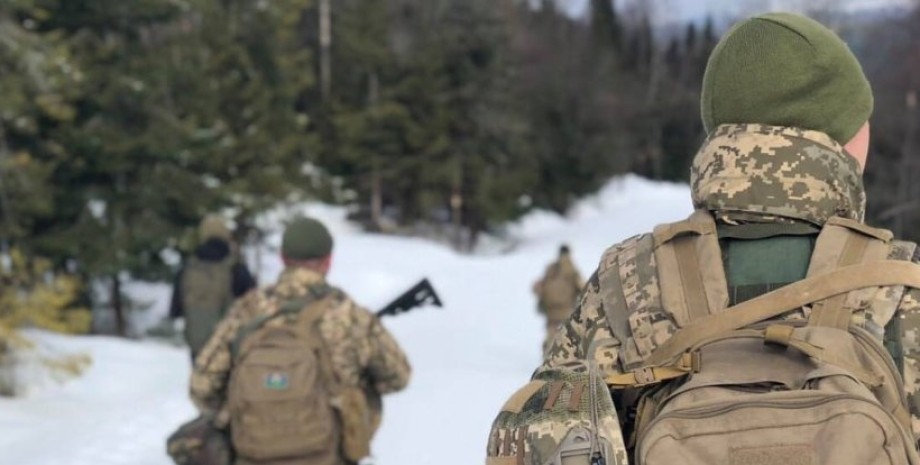 Бронежилеты Бронежилеты, ВСУ,