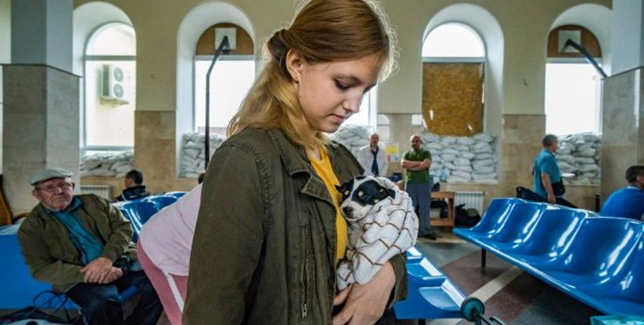 Переселенцы в Украине