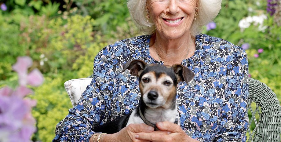 Королева-консорт Камилла, королева Камилла, жена Чарльза, Жена короля Карла, супруга монарха, королевская семья