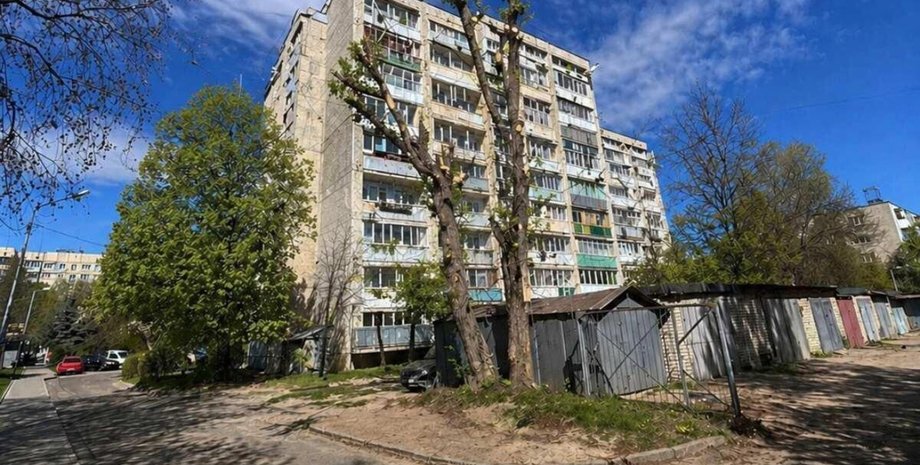 Фото "обрезанного" дерева, которое львовские коммунальщики сгенерировали в ИИ