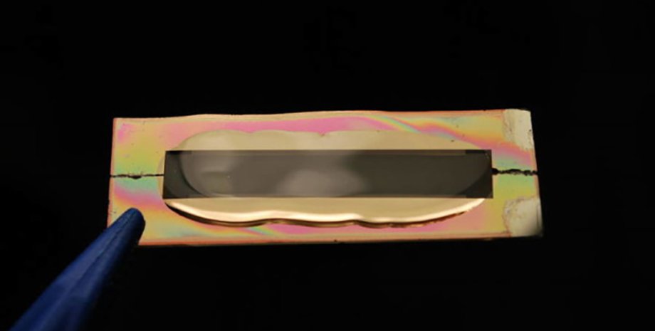 Фото: University of California Irvine