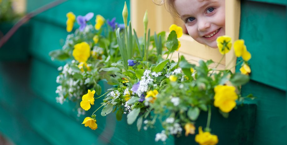 позитив, психология, эволюция