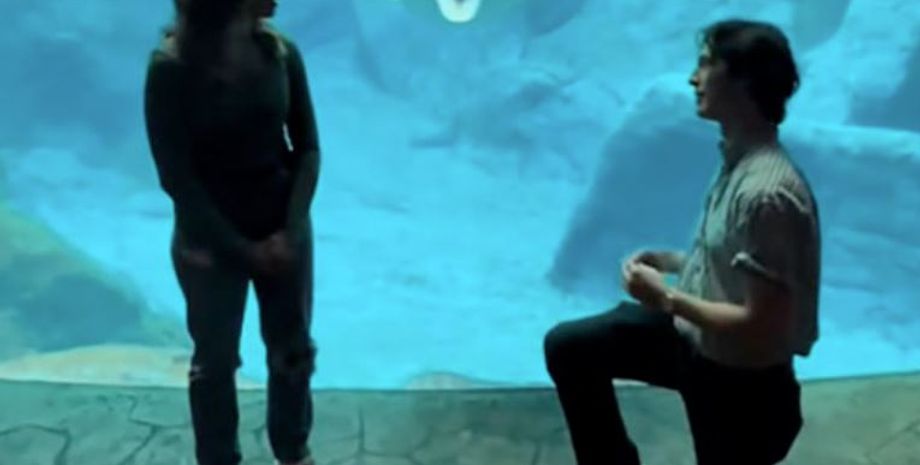 Пропозиція руки і серця, курйози, приколи, дивні випадки, історія кохання, смішні історії