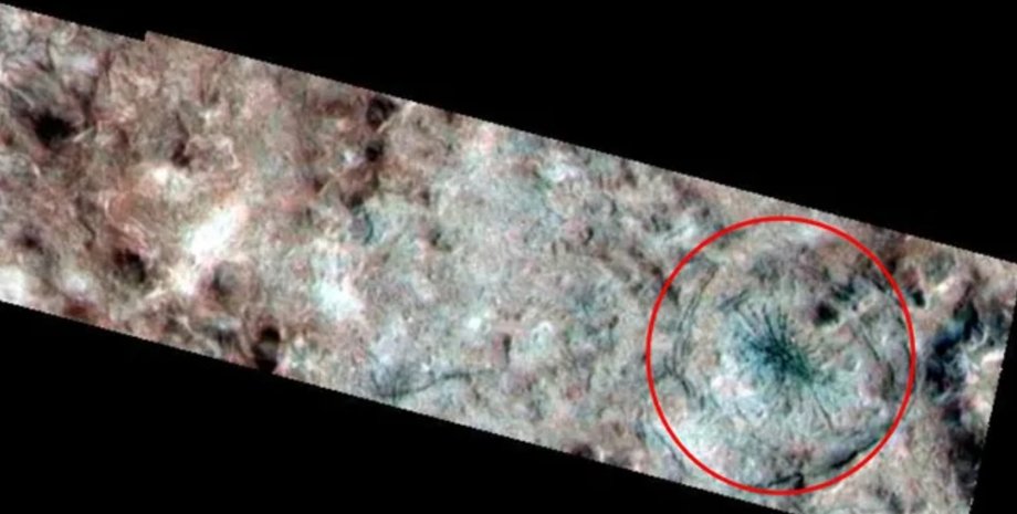 Європа павук Європа павук