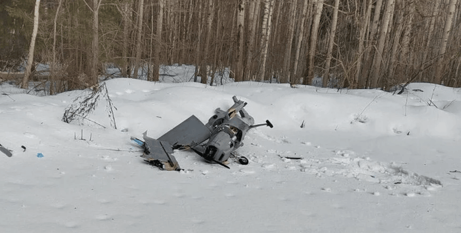 дрон Подмосковье, беспилотник в Подмосковье, БПЛА, дрон