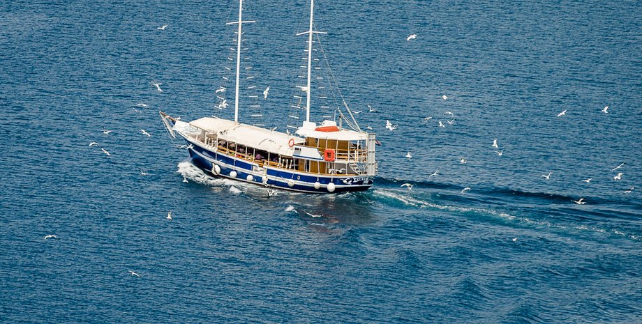 Фото из открытых источников