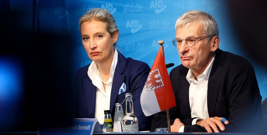 AfD "зливає" росіянам маршрути постачання зброї до України шпигунство на користь Росії партія AfD
